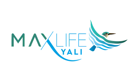 MaxLife Yalı: Güzelbahçe Sahilinde Denize Sıfır Müstakil Yaşam Ayrıcalığı